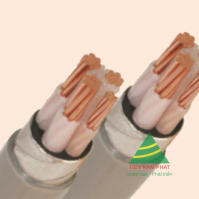 CÁP ĐIỆN KẾ DK - CXV - 0.6/1 kV