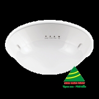 Đèn Trang Trí Nicem